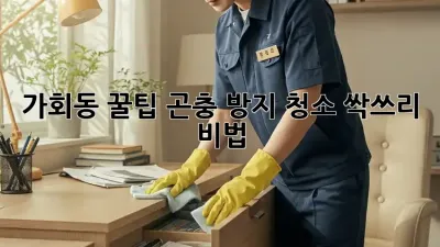 가회동 꿀팁🐝 곤충 방지 청소, 싹쓰리 비법!